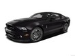 2013 Shelby GT500 Coupe