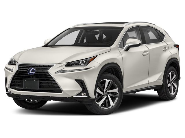 2019 Lexus NX 300h Luxury photo 2