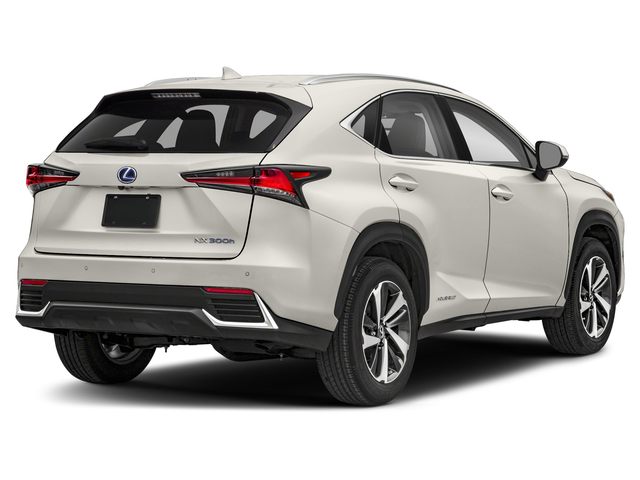 2019 Lexus NX 300h Luxury photo 3