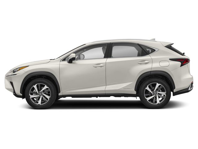 2019 Lexus NX 300h Luxury photo 4