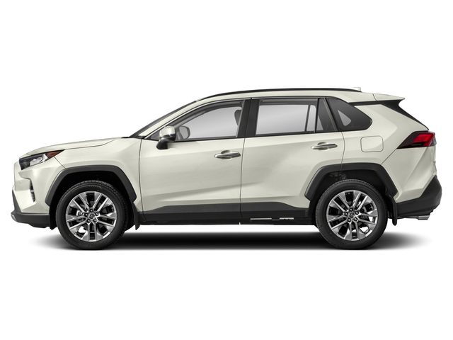 2019 Toyota RAV4 Limited photo 4