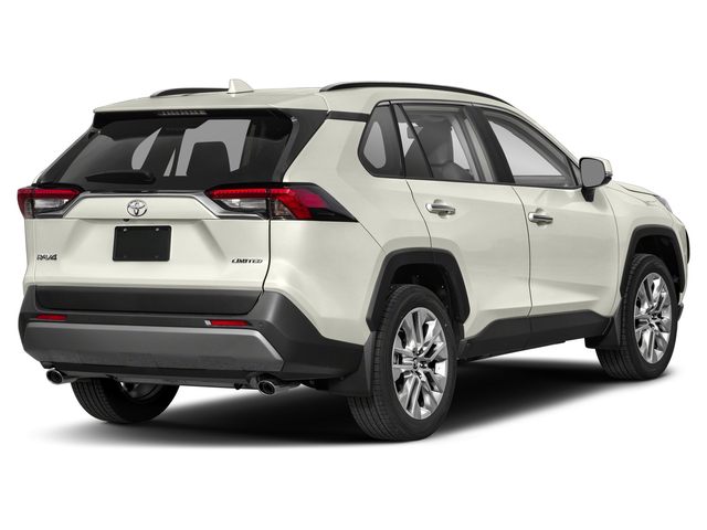 2019 Toyota RAV4 Limited photo 3