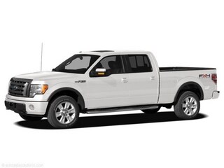 2010 Ford F-150 