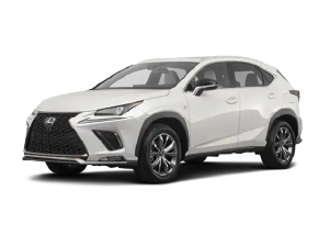 The 2020 Lexus N X 300 is shown