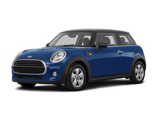 Mini West Palm Beach
