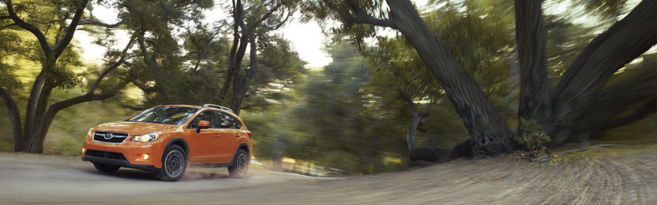2013-XV Crosstrek-SUV_01.jpg