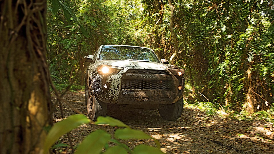 2018-RAV4-SUV_04.jpg