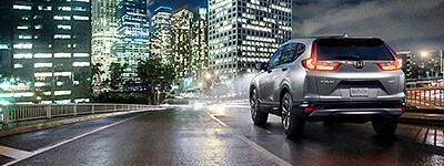 Honda CRV St peters