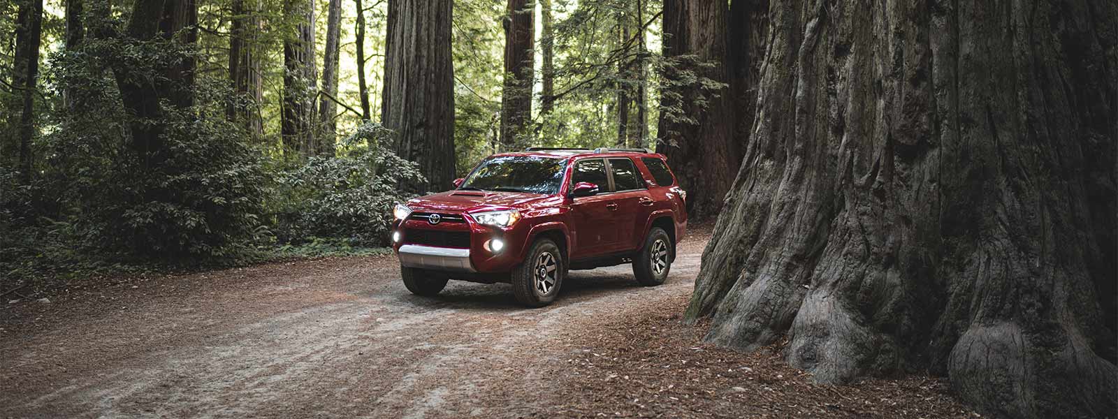 4Runner-SUV_04.jpg