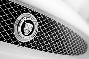 Jaguar Models