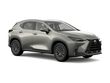 2025 Lexus NX 250 SUV 