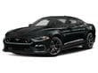 Used 2022 Ford Mustang Mach 1 Fastback Coupe