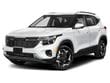 Used 2024 Kia Seltos EX SUV