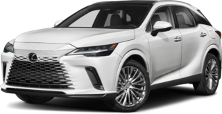 2025 LEXUS RX