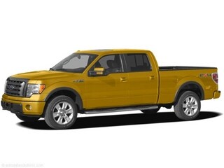 2009 Ford f150 colors #9