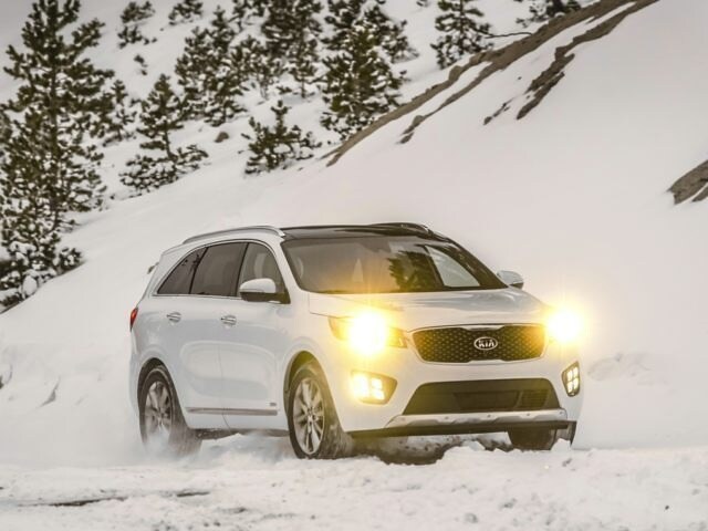 Forest Lake used cars