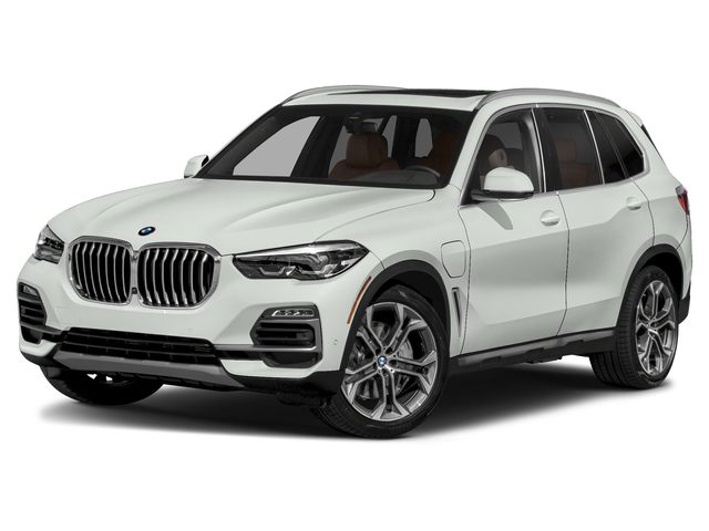 Tesla model x on sale vs bmw x5