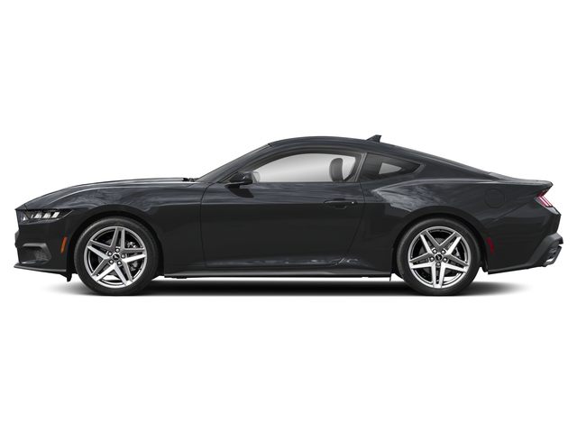 2024 Ford Mustang EcoBoost Premium photo 4