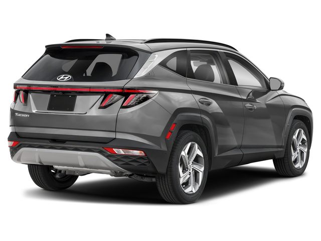 2024 Hyundai Tucson Limited photo 4