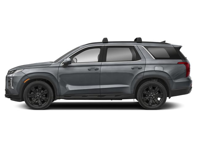 2025 Hyundai Palisade XRT photo 3