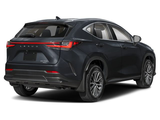 2025 Lexus NX 350 AWD photo 2