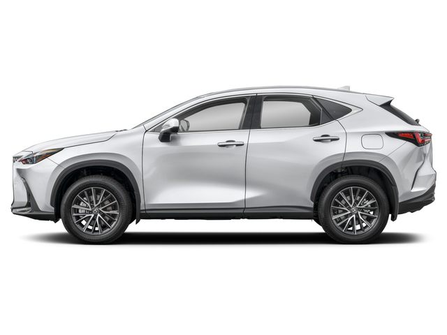 2025 Lexus NX 350h Premium photo 3