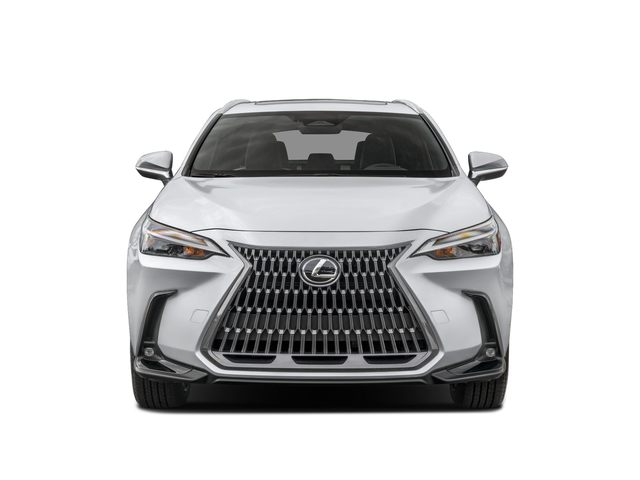 2025 Lexus NX 350h Premium photo 4