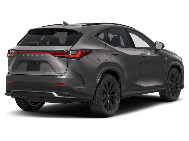 2026 Lexus NX 450h+ Luxury - Photo 19