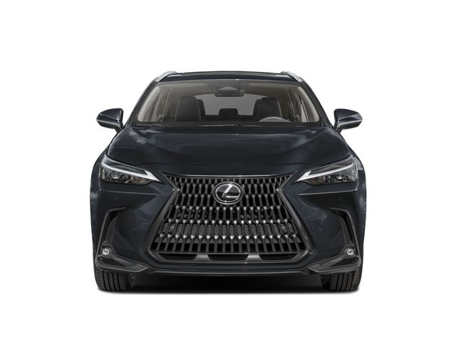 2026 Lexus NX 350 AWD photo 4