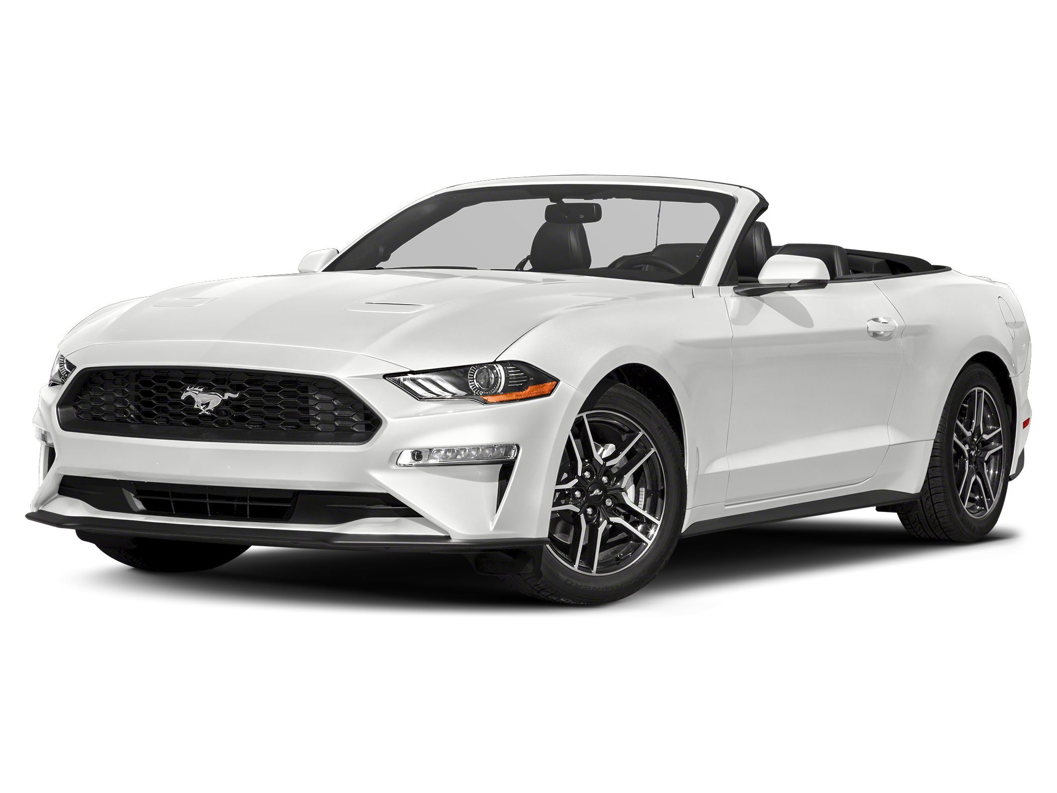 2019 Ford Mustang GT Premium -
                Wesley Chapel, FL