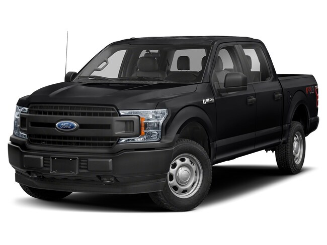 2019 Ford F-150 XL Truck