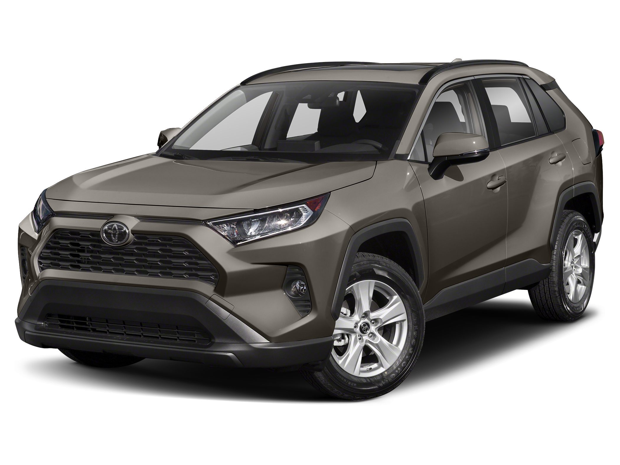 2019 Toyota RAV4 XLE -
                Wesley Chapel, FL