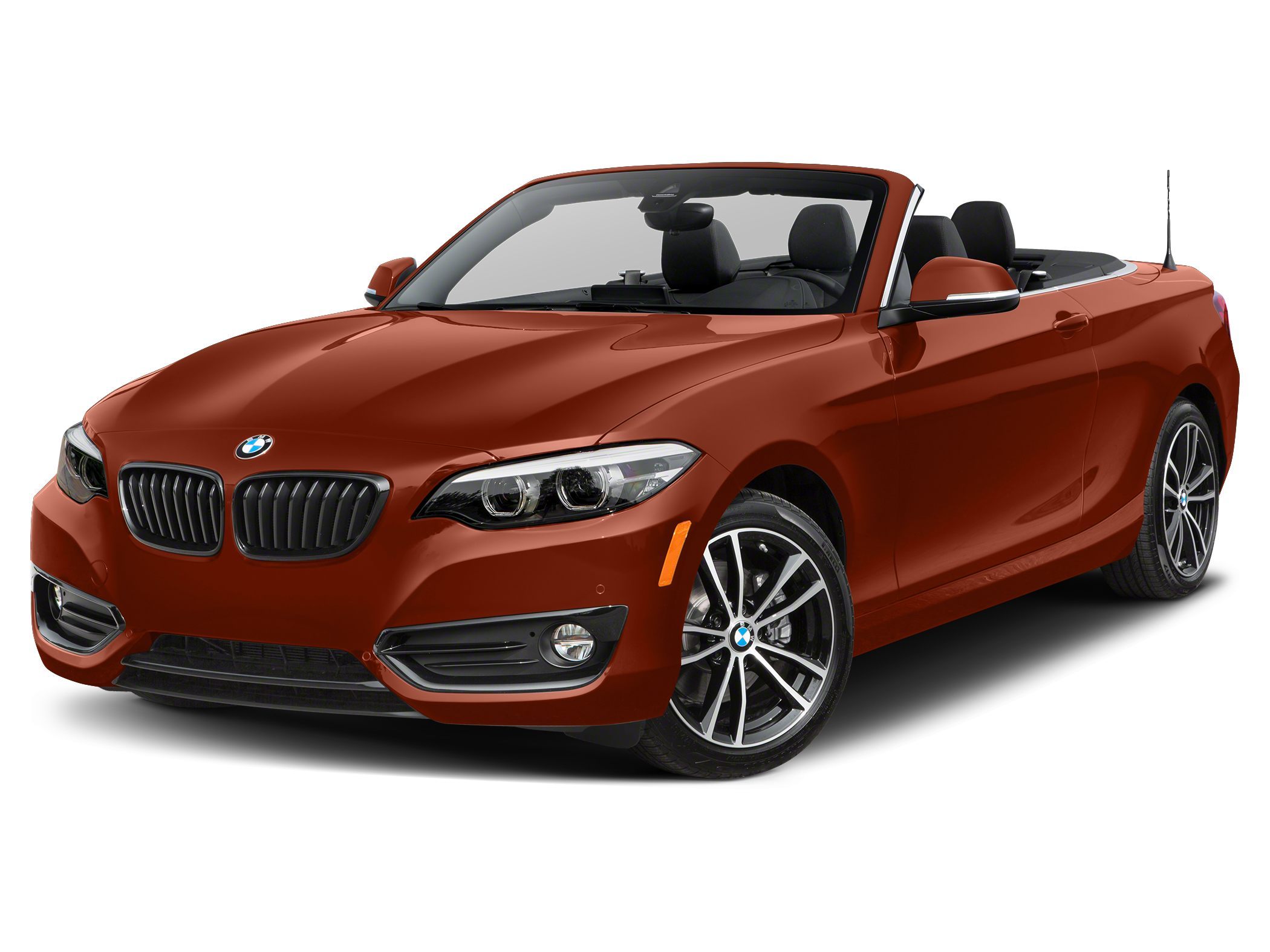 2020 BMW 2 Series 230i xDrive Convertible's photo