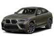  BMW X6 M