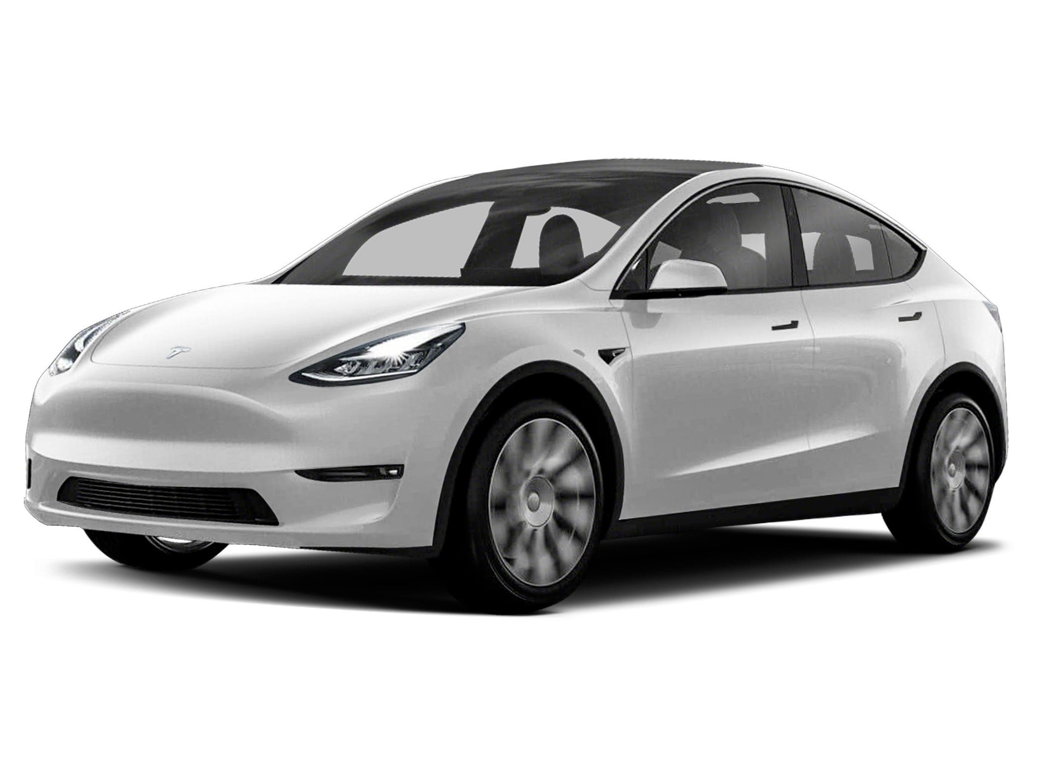 2020 Tesla Model Y Performance -
                Wesley Chapel, FL