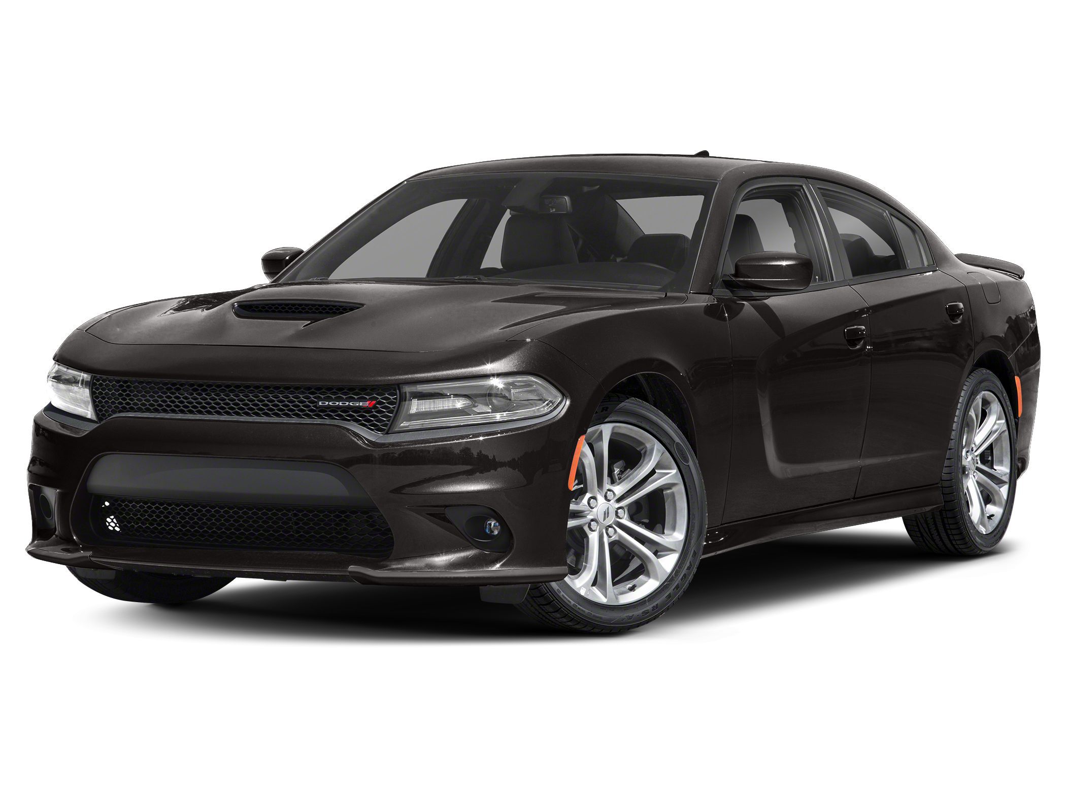 Dodge Charger's photo