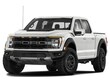 Ford F150 Rapto