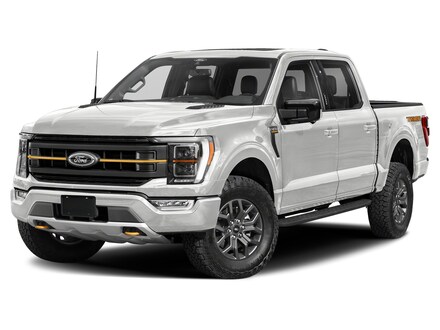 2022 Ford F-150 Tremor Truck