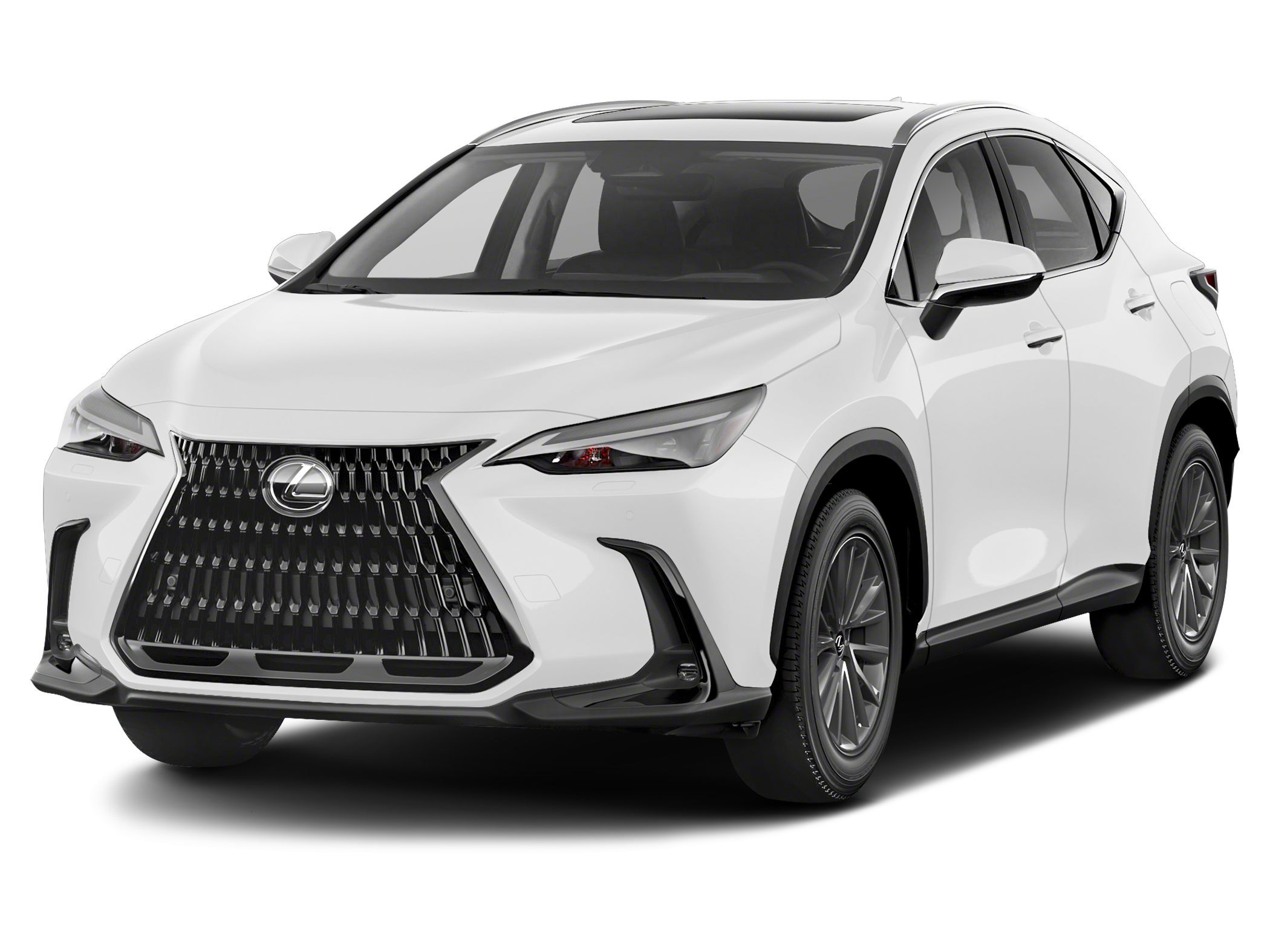 2022 Lexus NX 450h+ 450+ F-Sport AWD's photo