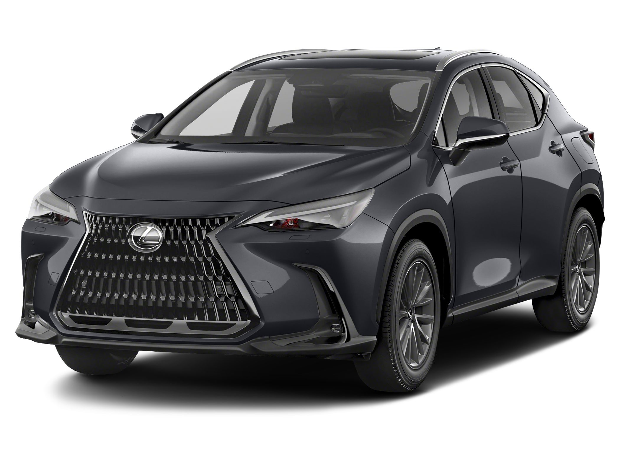 2022 Lexus NX PHEV 450h+'s photo