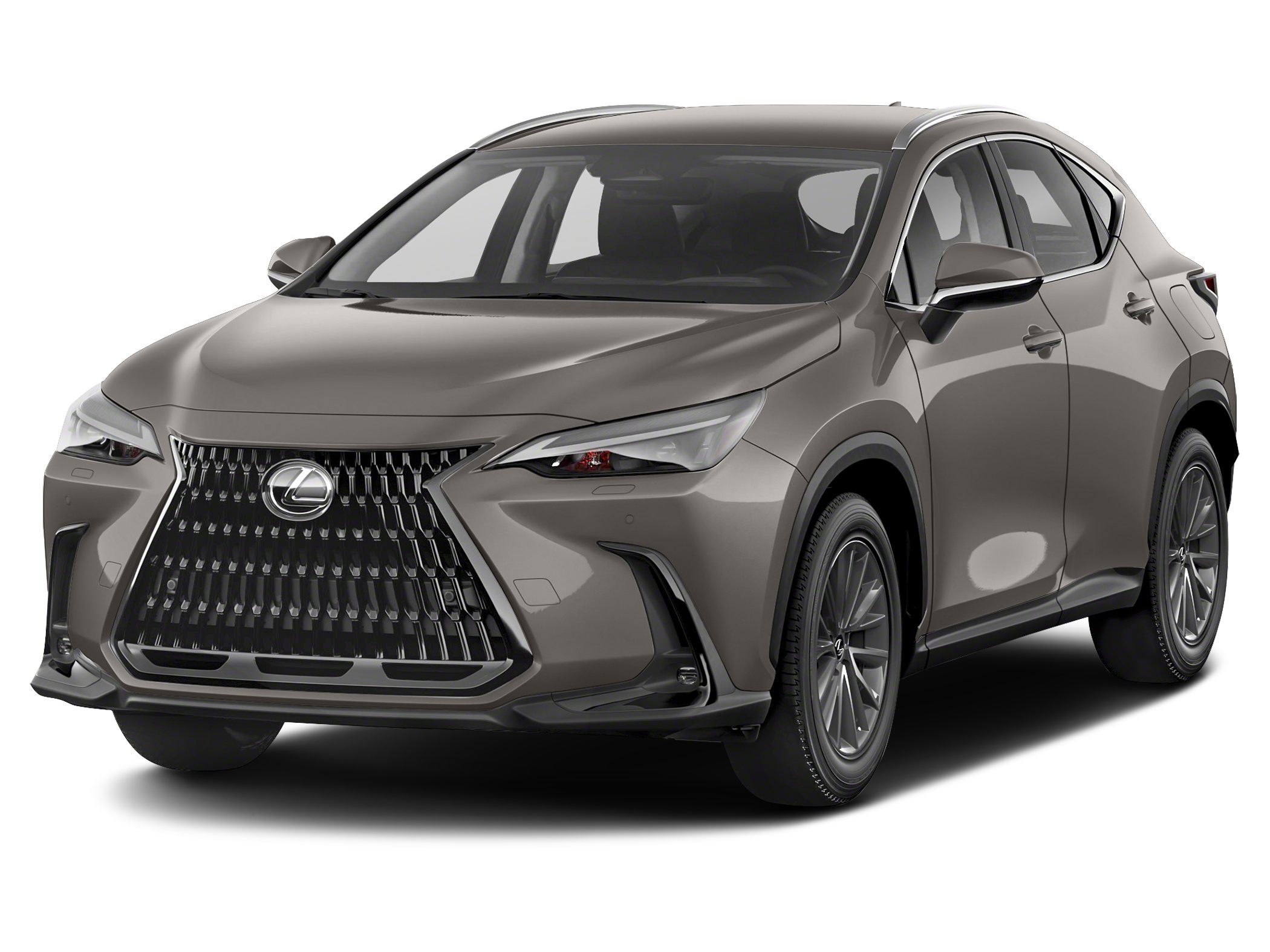 2022 Lexus NX 250's photo