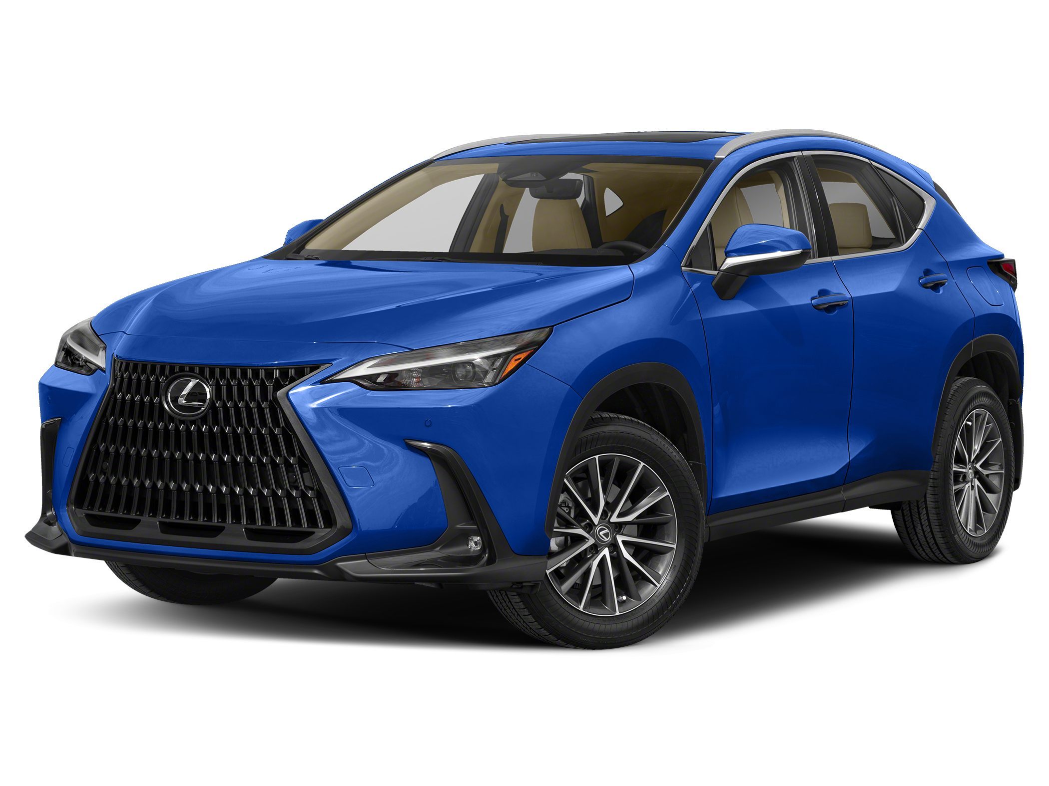 2022 Lexus NX  -
                Troy, NY