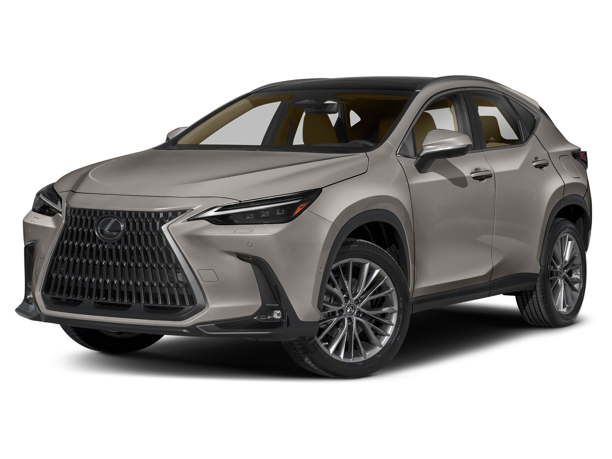 2022 Lexus NX  -
                West Allis, WI