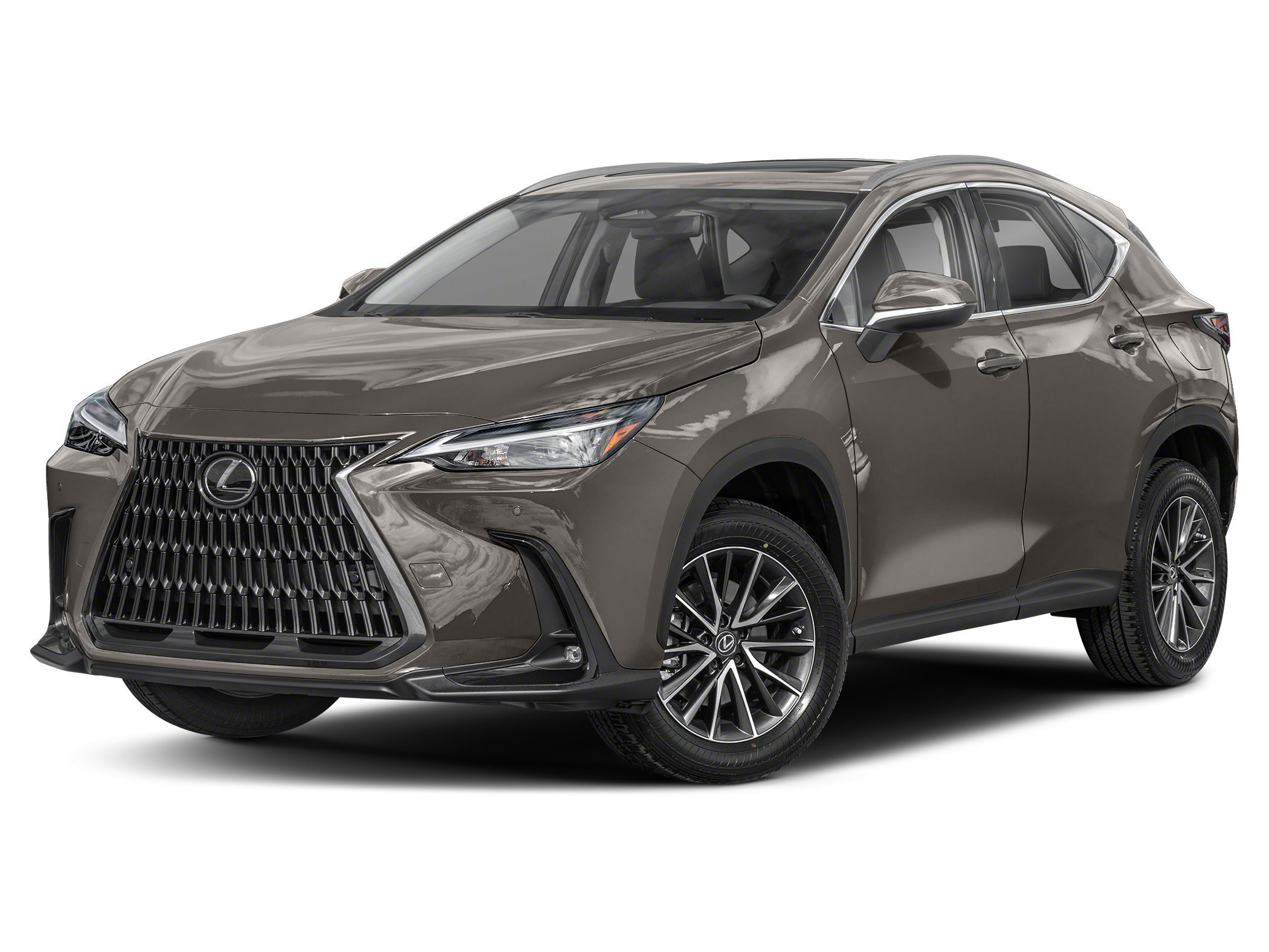 2023 Lexus NX 250's photo