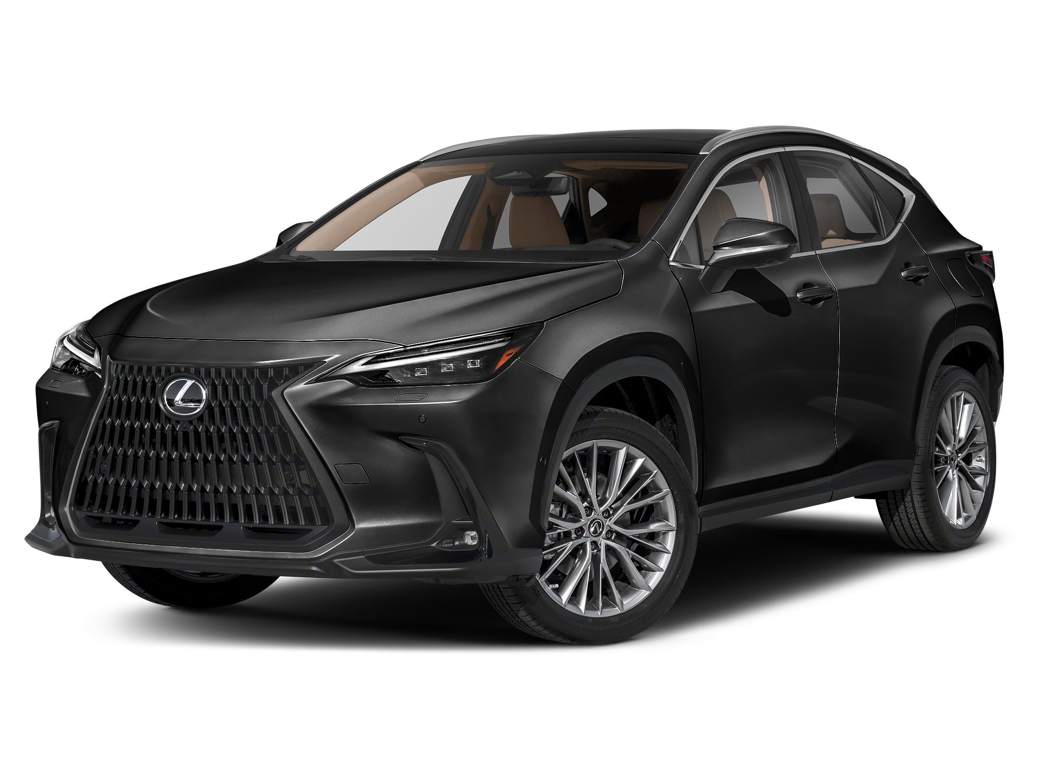 2023 Lexus NX Hybrid 350h's photo