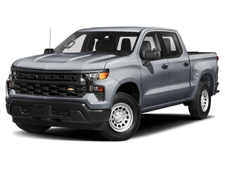 Used 2024 Chevrolet Silverado 1500 Custom Trail Boss Truck Crew Cab for sale in Charlotte, NC
