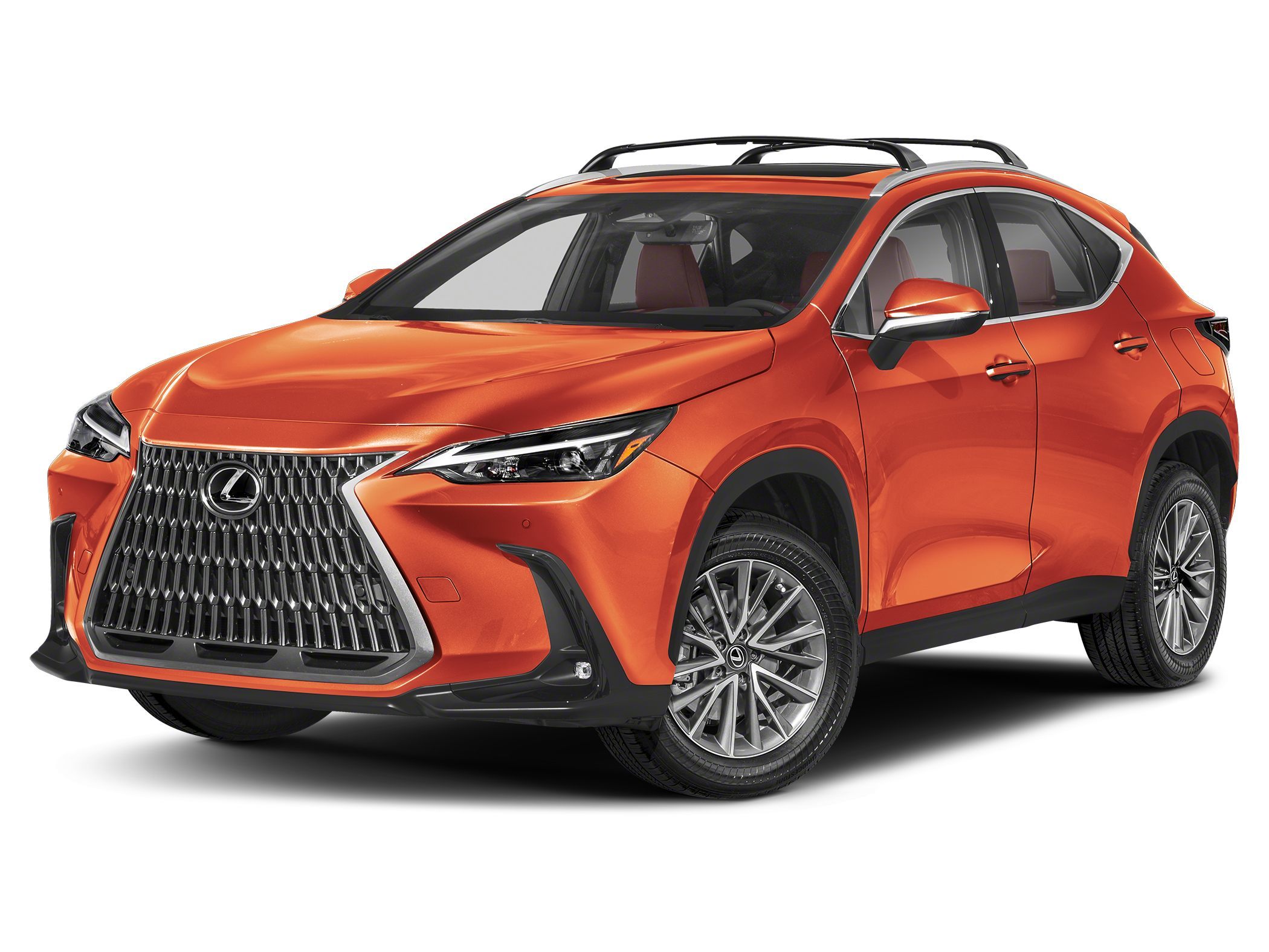 2024 Lexus NX 350's photo