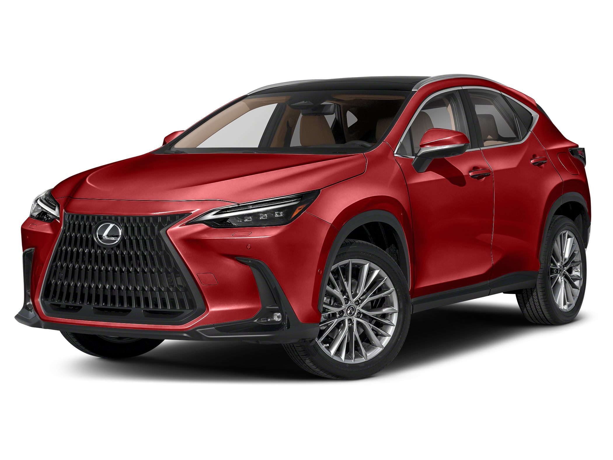 2024 Lexus NX 350h 350h Luxury AWD's photo