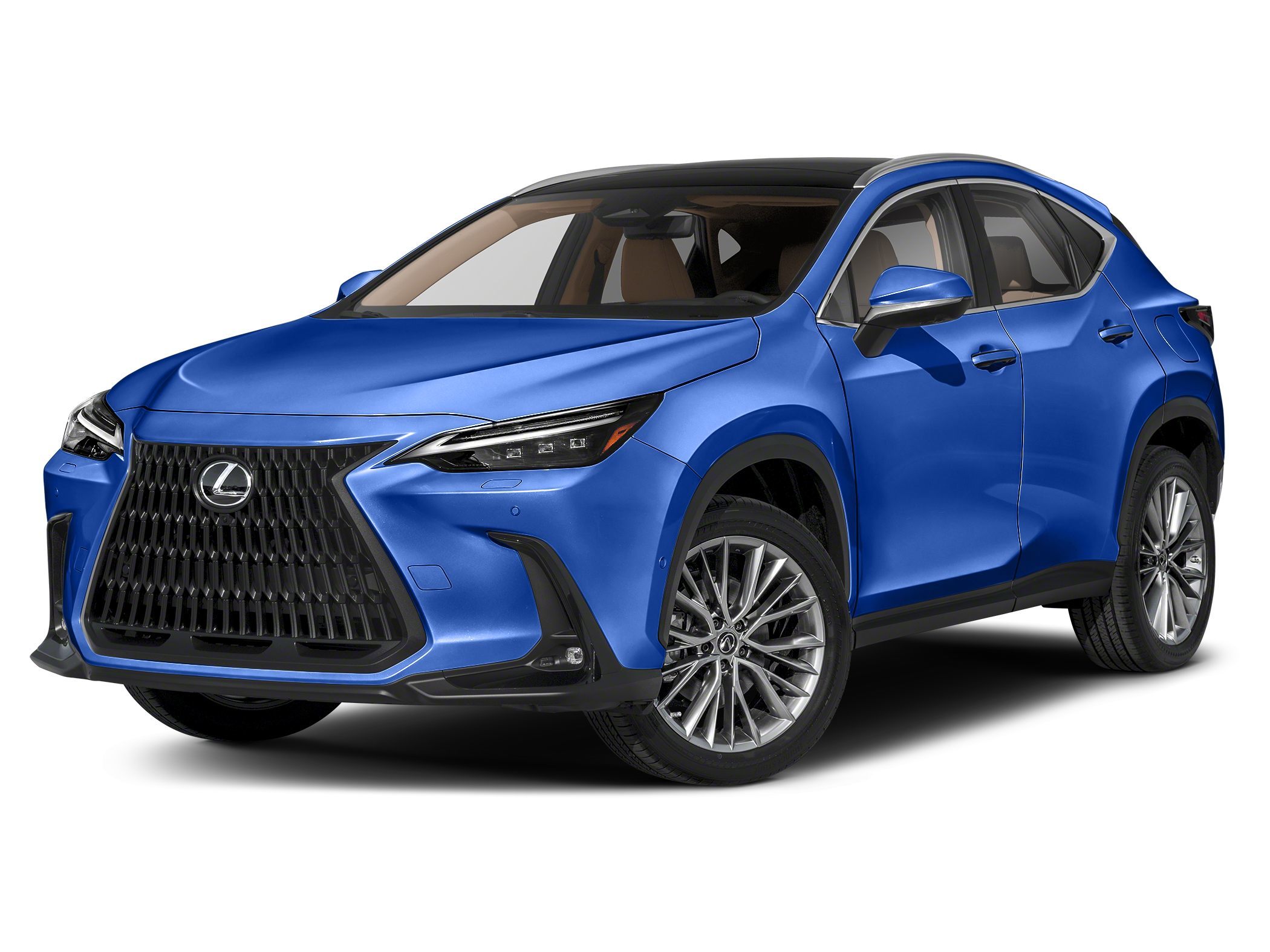 2024 Lexus NX Hybrid 350h's photo