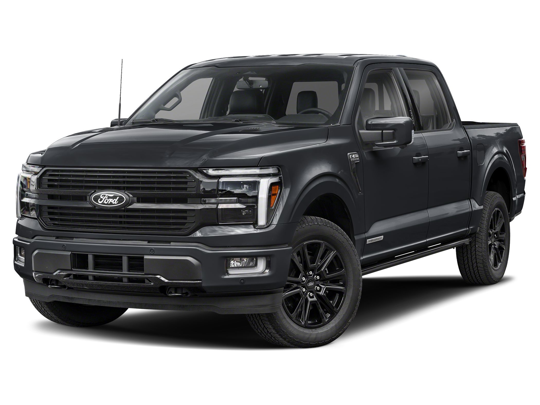 2025 Ford F-150 Platinum photo 2